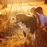 dogs and children 5